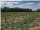 1078 Burumbah Rd, Goondiwindi QLD 4390