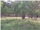 1078 Burumbah Rd, Goondiwindi QLD 4390