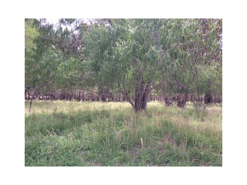 1078 Burumbah Rd, Goondiwindi QLD 4390