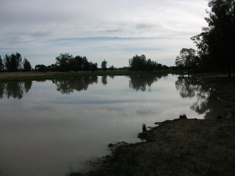 1078 Burumbah Rd, Goondiwindi QLD 4390