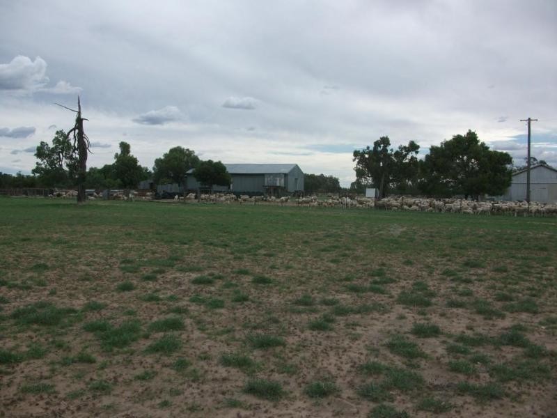 1078 Burumbah Rd, Goondiwindi QLD 4390