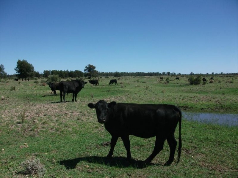 1872 Southwood Rd, Hannaford QLD 4406