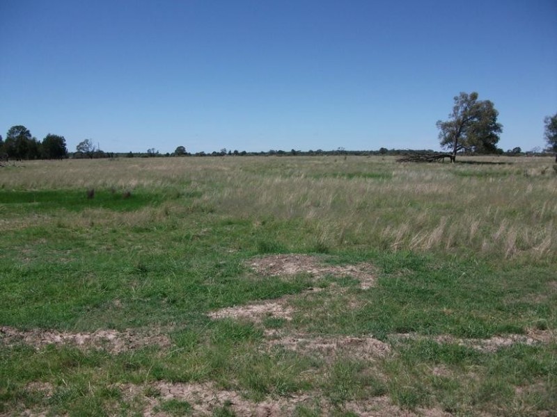 1872 Southwood Rd, Hannaford QLD 4406