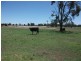 1872 Southwood Rd, Hannaford QLD 4406