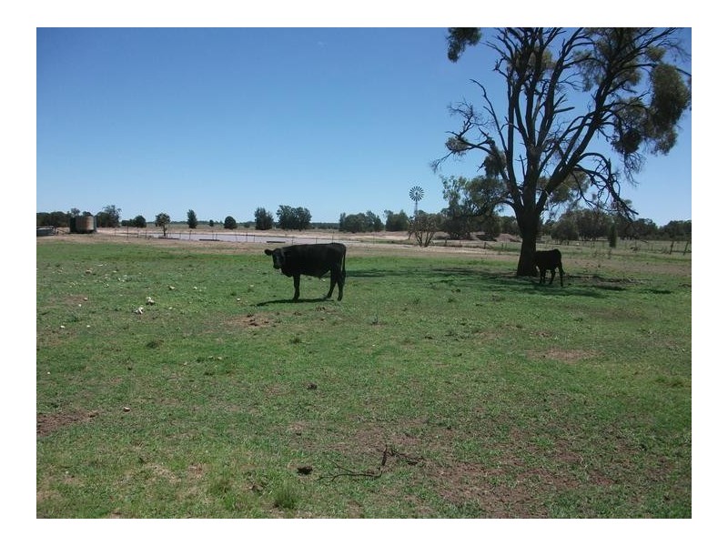 1872 Southwood Rd, Hannaford QLD 4406