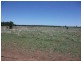 1872 Southwood Rd, Hannaford QLD 4406