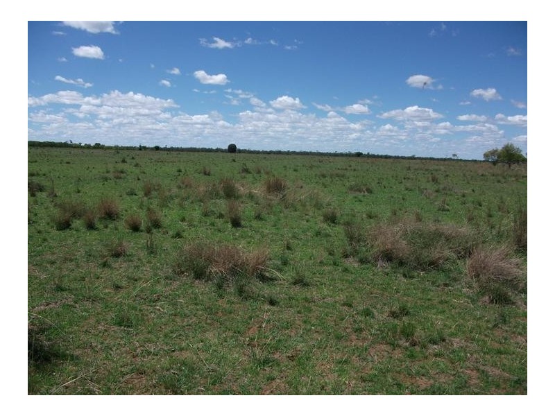 1872 Southwood Rd, Hannaford QLD 4406
