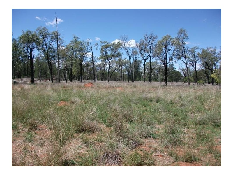 1872 Southwood Rd, Hannaford QLD 4406