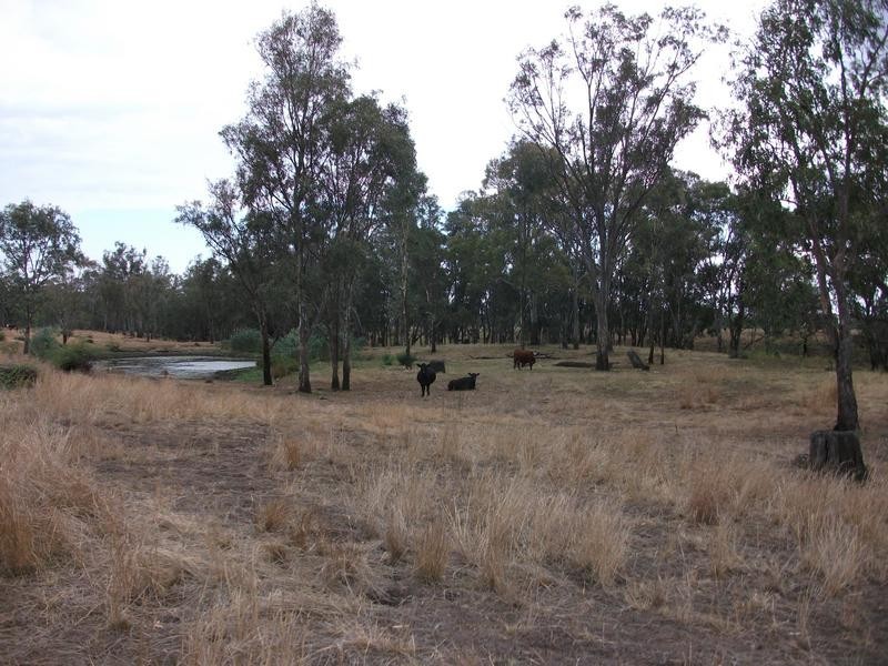3770 Dalby – Cecil Plains Rd, Cecil Plains QLD 4407