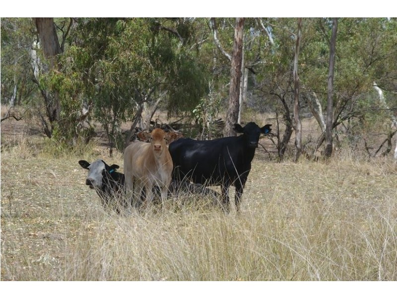 3770 Dalby – Cecil Plains Rd, Cecil Plains QLD 4407