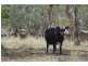 3770 Dalby – Cecil Plains Rd, Cecil Plains QLD 4407