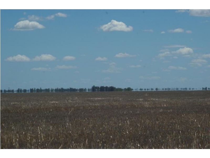 80 Cosgroves Rd, St Ruth QLD 4405