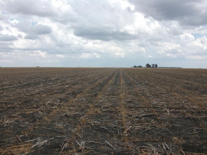 80 Cosgroves Rd, St Ruth QLD 4405