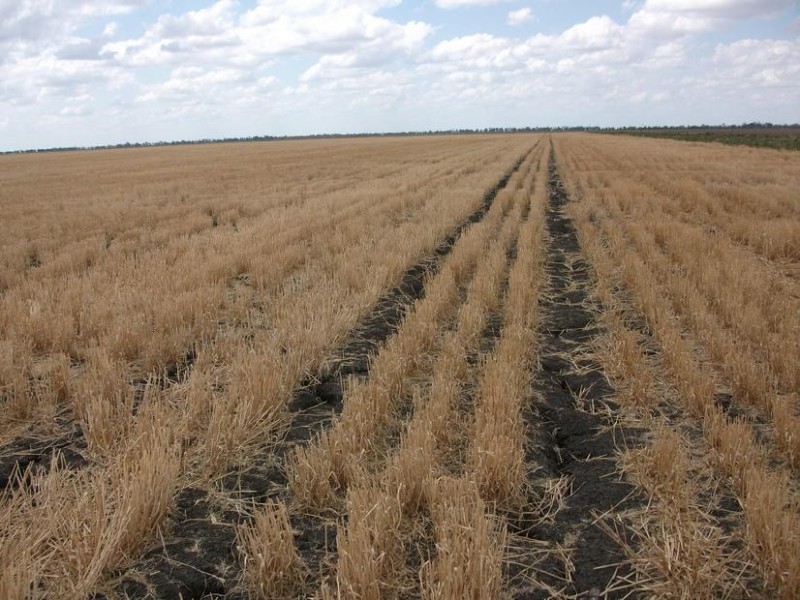 80 Cosgroves Rd, St Ruth QLD 4405