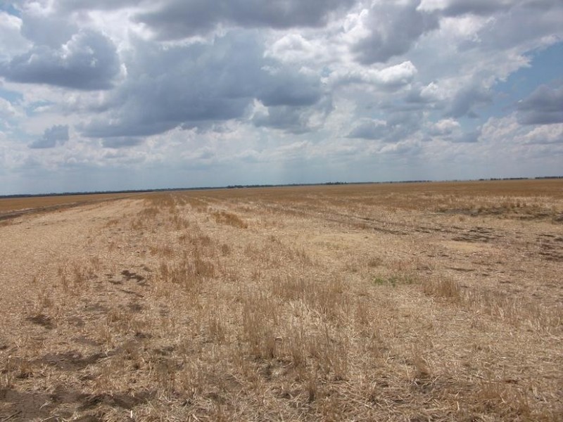 80 Cosgroves Rd, St Ruth QLD 4405