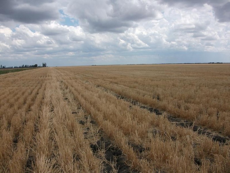 80 Cosgroves Rd, St Ruth QLD 4405