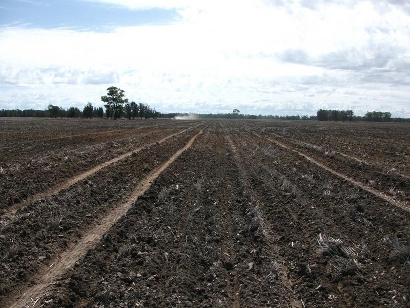 31708 Cunningham Hwy, Goondiwindi QLD 4390