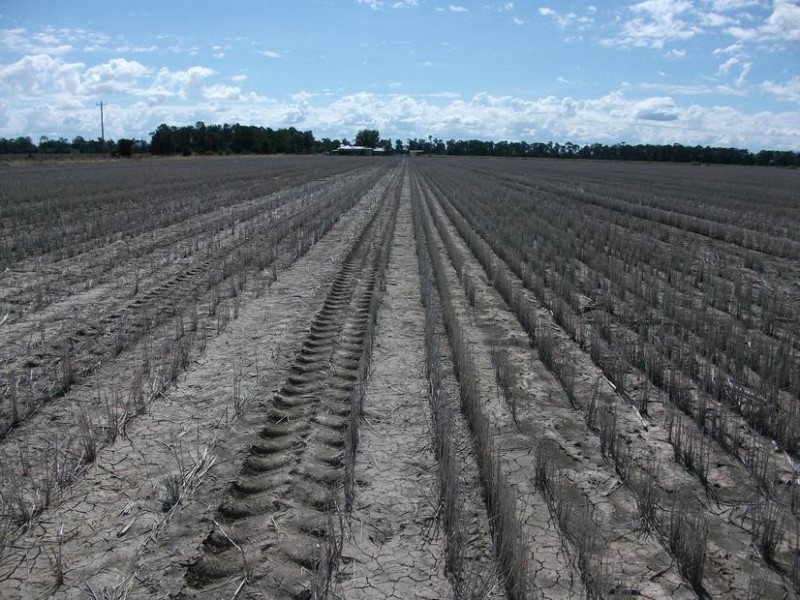 31708 Cunningham Hwy, Goondiwindi QLD 4390