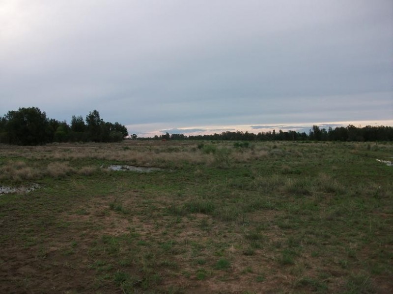 31708 Cunningham Hwy, Goondiwindi QLD 4390