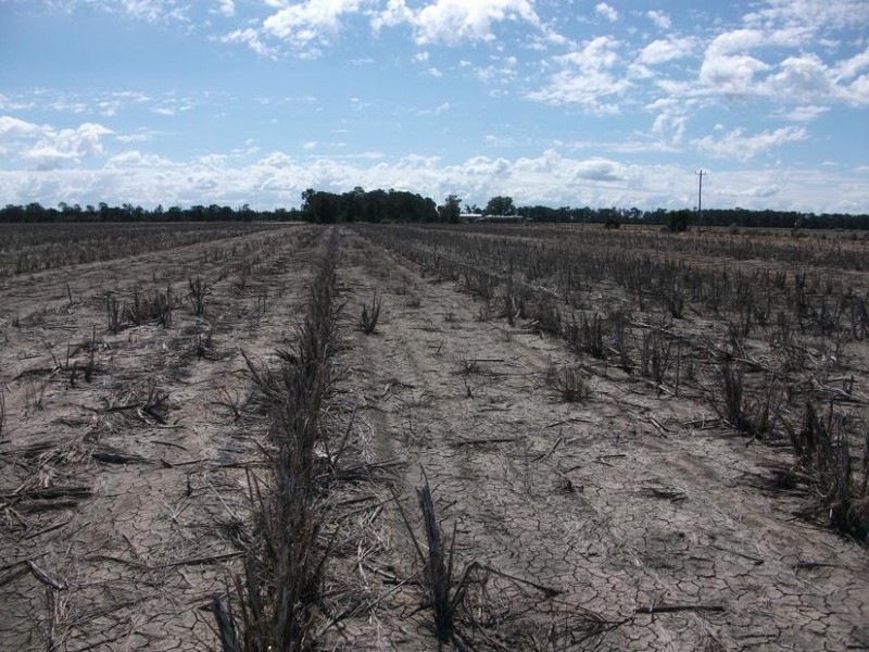 31708 Cunningham Hwy, Goondiwindi QLD 4390