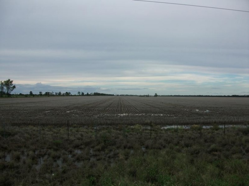 31708 Cunningham Hwy, Goondiwindi QLD 4390