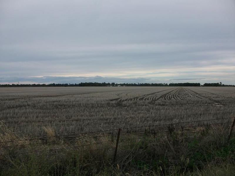 31708 Cunningham Hwy, Goondiwindi QLD 4390