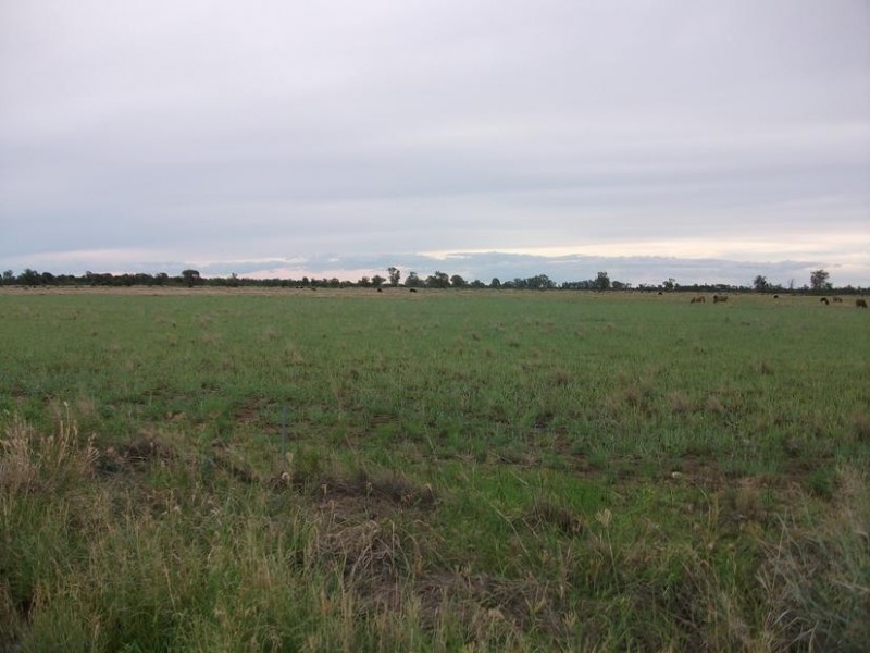 31708 Cunningham Hwy, Goondiwindi QLD 4390