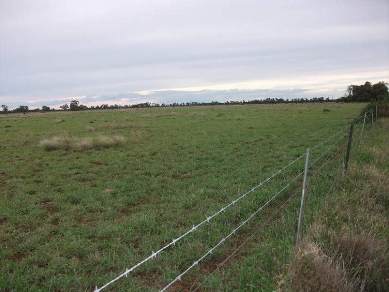 31708 Cunningham Hwy, Goondiwindi QLD 4390