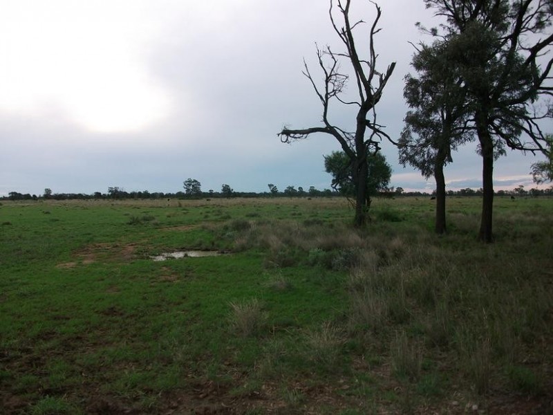 31708 Cunningham Hwy, Goondiwindi QLD 4390