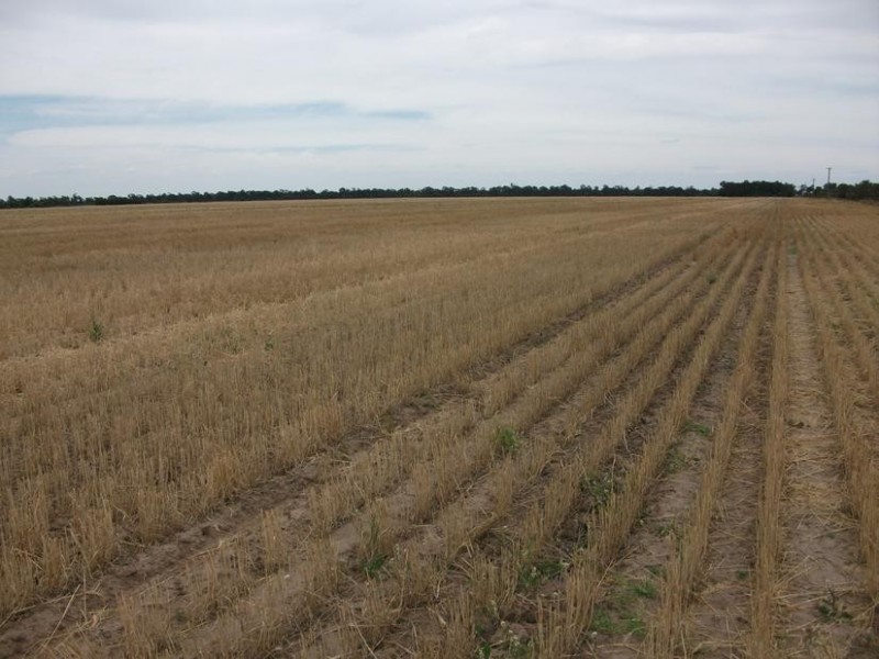 31708 Cunningham Hwy, Goondiwindi QLD 4390