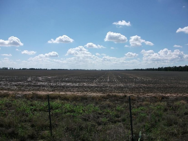 31708 Cunningham Hwy, Goondiwindi QLD 4390