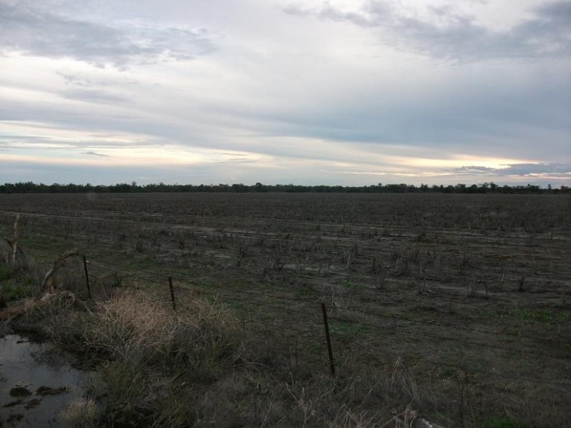 31708 Cunningham Hwy, Goondiwindi QLD 4390