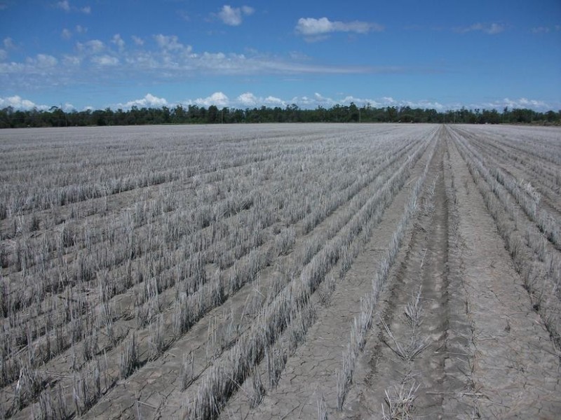 31708 Cunningham Hwy, Goondiwindi QLD 4390