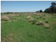 4001 Kerimbilla Lane, Goondiwindi QLD 4390