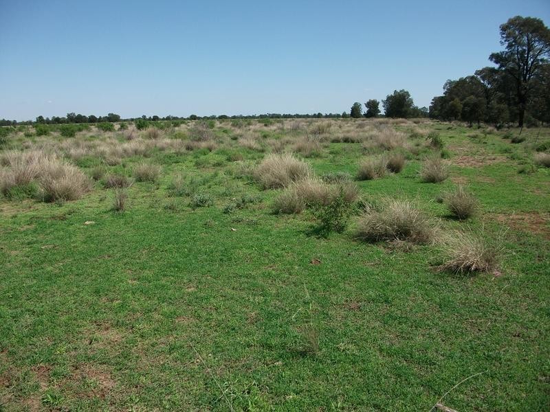 4001 Kerimbilla Lane, Goondiwindi QLD 4390