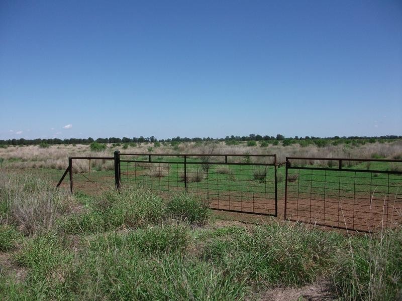4001 Kerimbilla Lane, Goondiwindi QLD 4390
