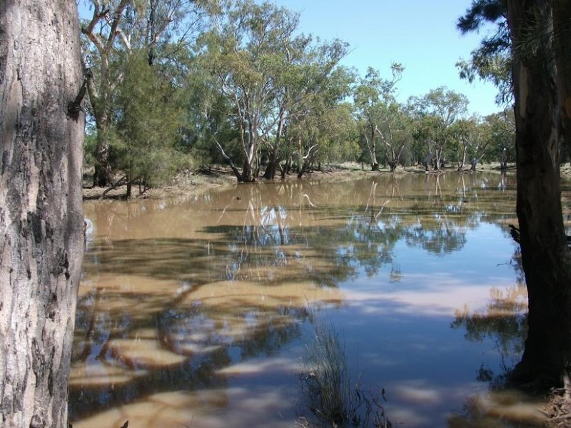 4001 Kerimbilla Lane, Goondiwindi QLD 4390