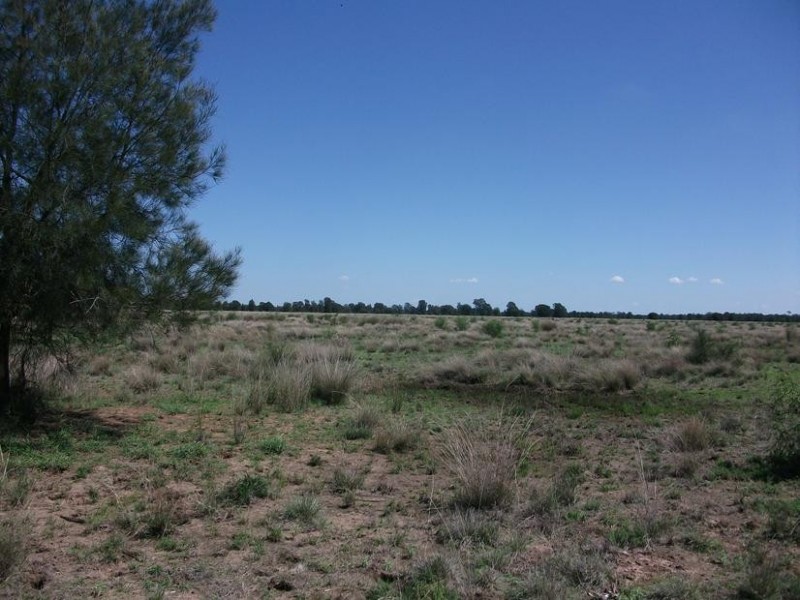 4001 Kerimbilla Lane, Goondiwindi QLD 4390