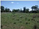 4001 Kerimbilla Lane, Goondiwindi QLD 4390