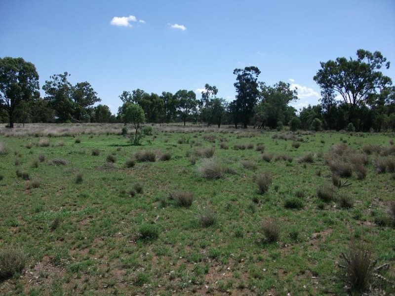 4001 Kerimbilla Lane, Goondiwindi QLD 4390