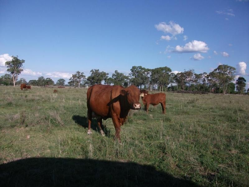2830 Tarwoona Rd, Texas NSW 4385