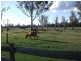 2830 Tarwoona Rd, Texas NSW 4385