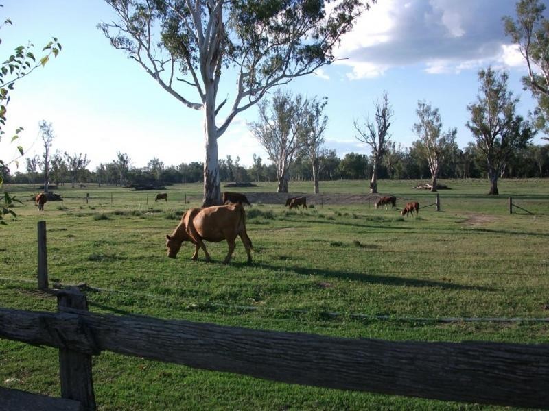 2830 Tarwoona Rd, Texas NSW 4385