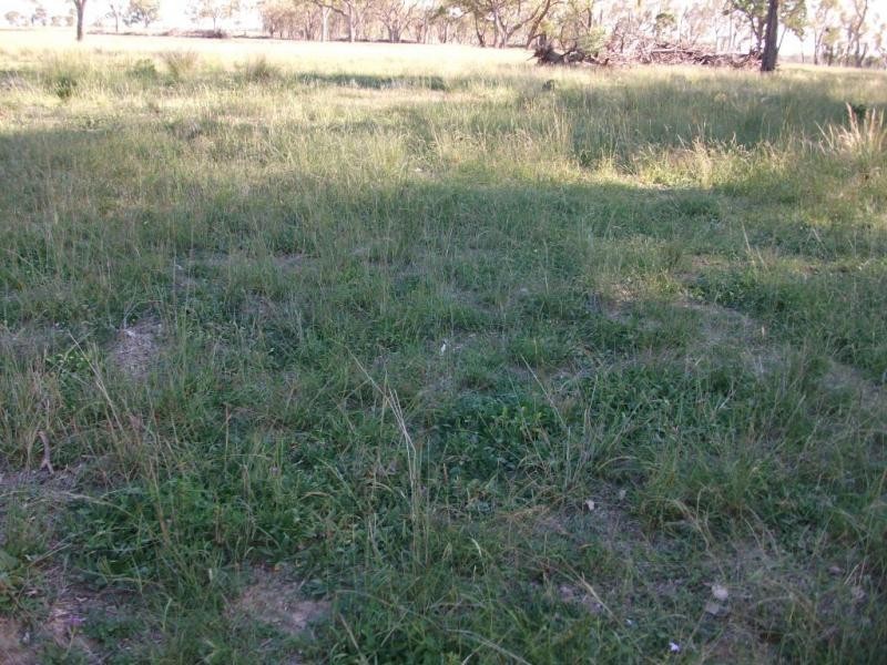 2830 Tarwoona Rd, Texas NSW 4385