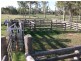 2830 Tarwoona Rd, Texas NSW 4385