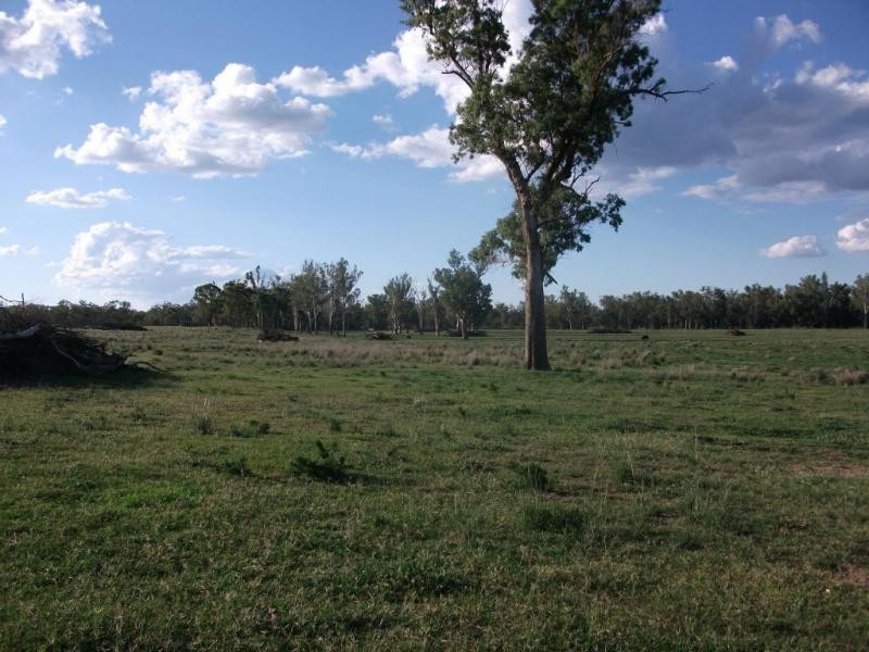 2830 Tarwoona Rd, Texas NSW 4385
