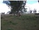 2830 Tarwoona Rd, Texas NSW 4385