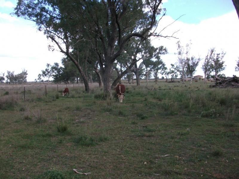 2830 Tarwoona Rd, Texas NSW 4385