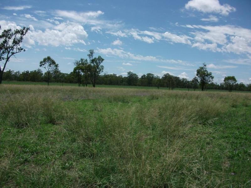 3770 Cecil Plains – Dalby Rd, Cecil Plains QLD 4407