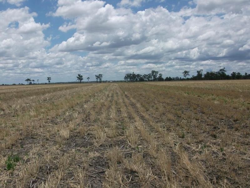 3770 Cecil Plains – Dalby Rd, Cecil Plains QLD 4407